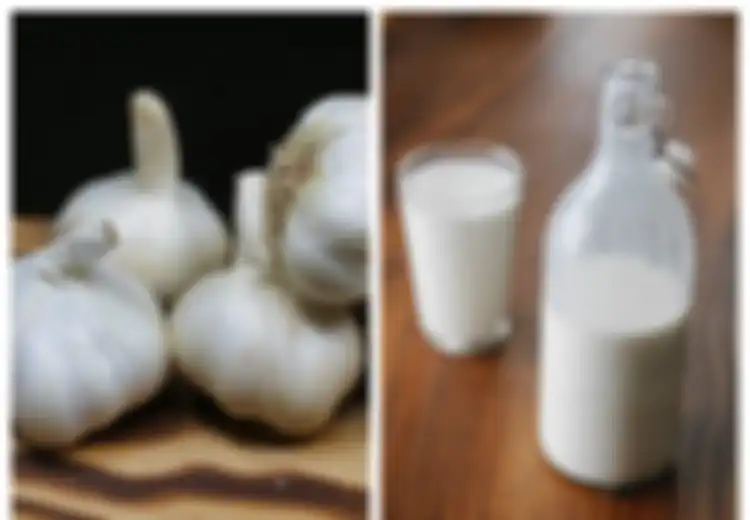 Nanti Malam Harus Coba, Minum Campuran Susu dan Bawang Putih Setelah Makan Malam, Ini yang Akan Terjadi pada Tubuh