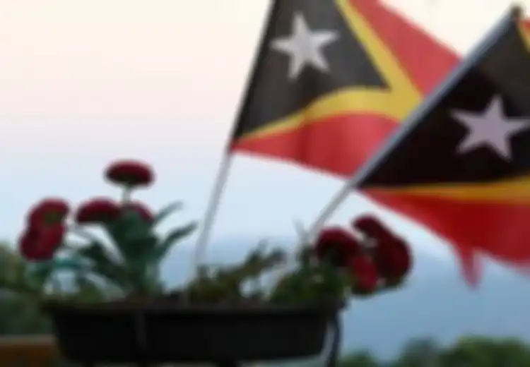 5 Karung Pakaian Bekas dari Timor Leste Disembunyikan Dalam Ranting Hendak Diselundupkan ke Indonesia, Apa yang Terjadi?