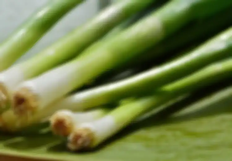 Nyesel Baru Tahu, Ternyata Ada 5 Manfaat Daun Bawang untuk Kesehatan Ini yang Cocok dengan Musim Penghujan Sekarang Ini
