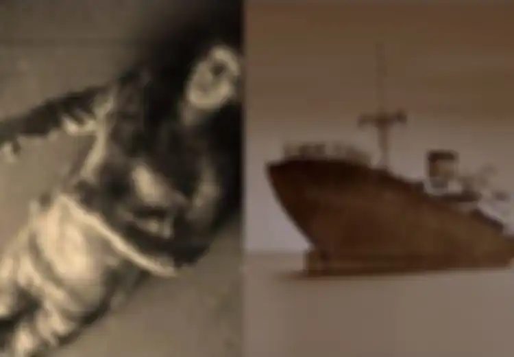 Kisah Misteri Kematian Misterius Kapal SS Ourang Medan yang Berlayar ke Selat Malaka, Kapten Hingga Seluruh Krunya Tewas dengan Mata Terbelalak, Apa yang Terjadi?
