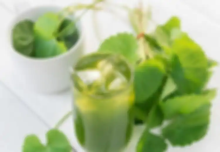 Tak Ada Salahnya Coba Minum Air Rebusan Daun Pegagan, Ternyata Ampuh Turunkan Darah Tinggi, Begini Cara Membuatnya