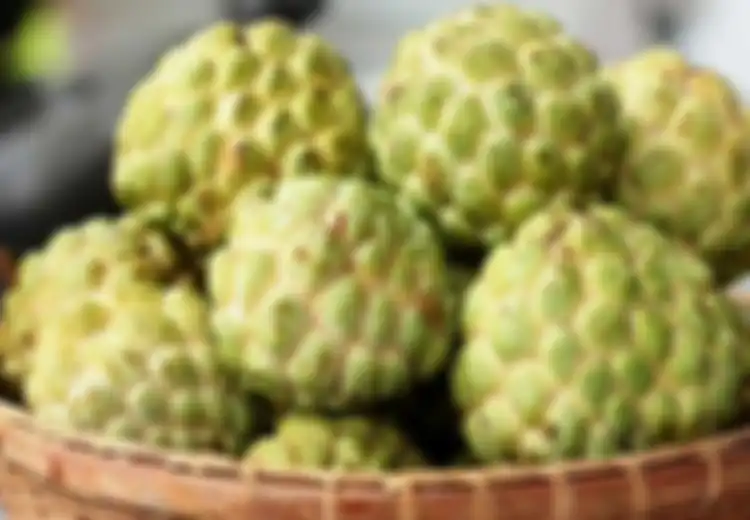Kabar Gembira Bagi yang Ingin Sehat, Siapa Sangka Buah Srikaya Punya 5 Manfaat Menyehatkan Berikut Ini Lho!