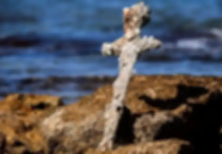 Berusia 900 Tahun, Pedang Tentara Salib Bertatahkan Organisme Laut Ini Ditemukan Penyelam di Lepas Pantai Israel