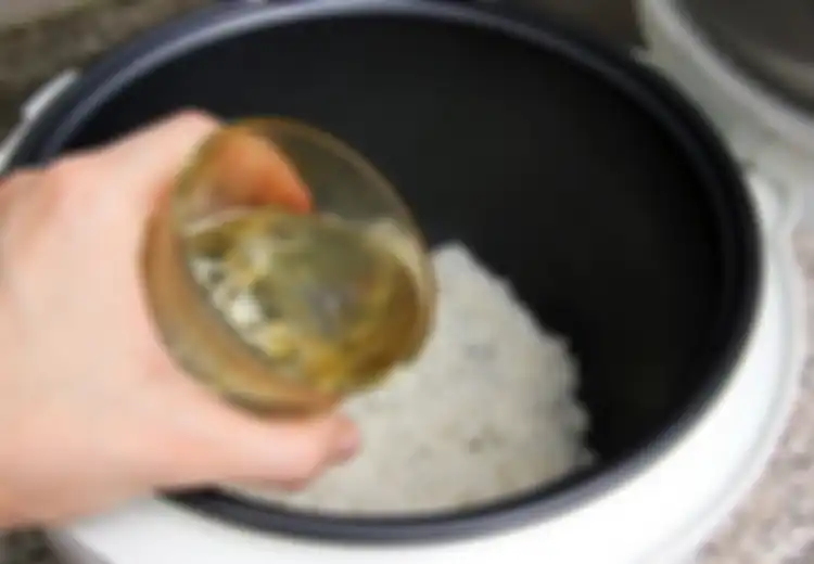 Boleh Juga Dicoba! Ternyata Ini 5 Fungsi Lain Rice Cooker Selain Memasak dan Menghangatkan Nasi