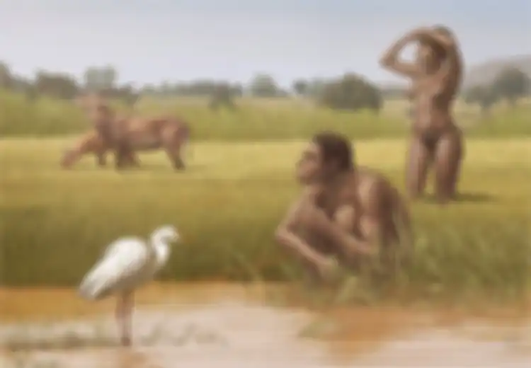 Ini Dia Moyang Manusia Modern, Bukan Homo Sapiens, Ternyata Malah Justru Homo Bodoensis, Apa Bedanya?