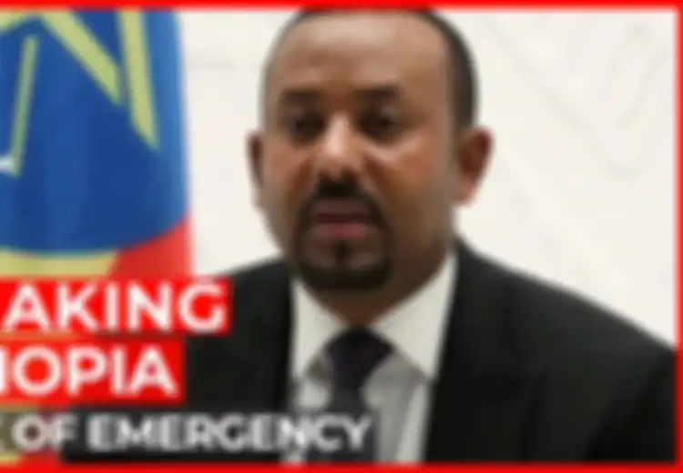 'Semoga Tuhan Membantu Kita', Ketika Ethiopia Umumkan Keadaan Darurat, Pasukan Pemberontak Melancarkan Ancaman hingga Perdana Menterinya Dituduh Melanggar HAM