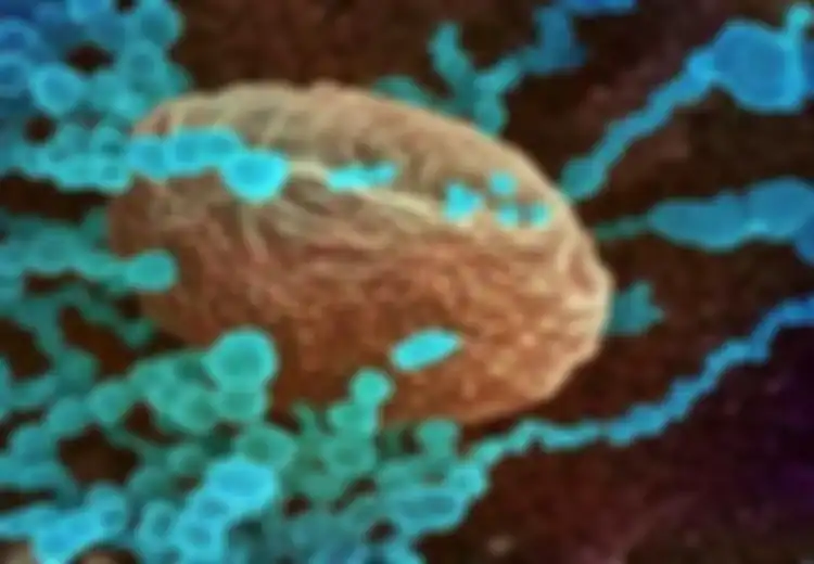 Bak Jilat Ludah Sendiri, Koar-Koar Sebuat Covid-19 Dari Laboratorium China, Amerika Malah Kepergok Simpan Ratusan Virus Mematikan yang Bisa Menjadi Bencana