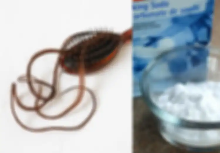 Percuma Merawat Rambut ke Salon Kalau Hal Kecil Ini Tidak Dilakukan, Mulai Sekarang Rajin-rajin Bersihkan Sisir, Pakai Baking Soda Paling Mantap!