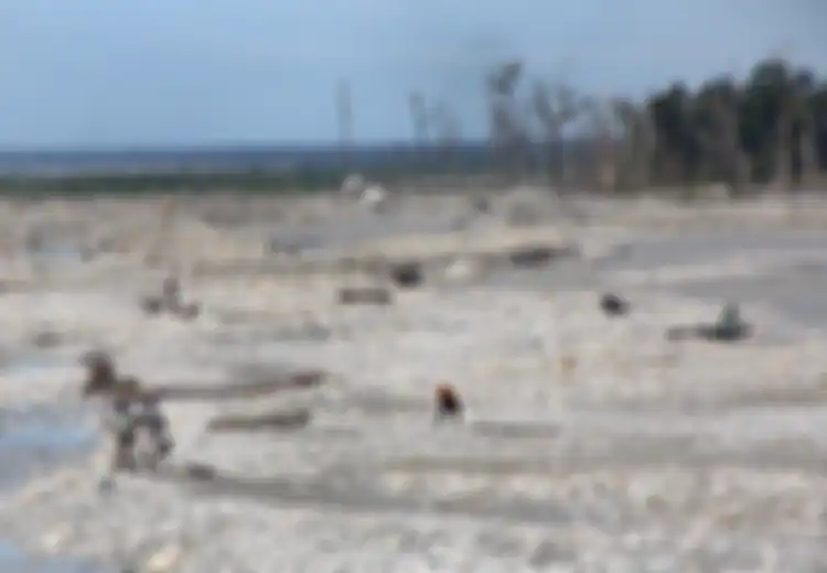Tanah di Indonesia Ini Jadi Pabrik Uang Amerika Serikat, Orang Belanda Ini Beberkan Aliran Uang dari Tambang Emas Freeport Hingga Pengakuan Warga Papua