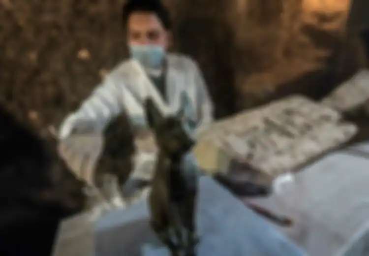 Tak Hanya Karena Pemujaan Terhadap Dewi Bastet, Ini Rupanya Alasan Orang Mesir Kuno Lakukan Tradisi  Mumifikasi Kucing Peliharaan Mereka