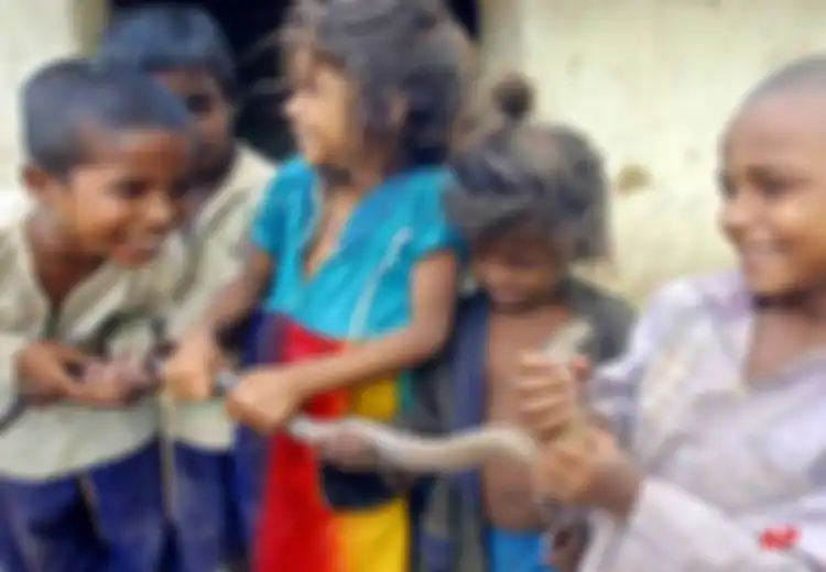Dipercaya sebagai Keturunan 'Ular,' Begini Kehidupan Anak-anak Suku Vadi di India yang Sudah Bisa 'Menaklukkan' Ular Berbisa Sedini Mungkin