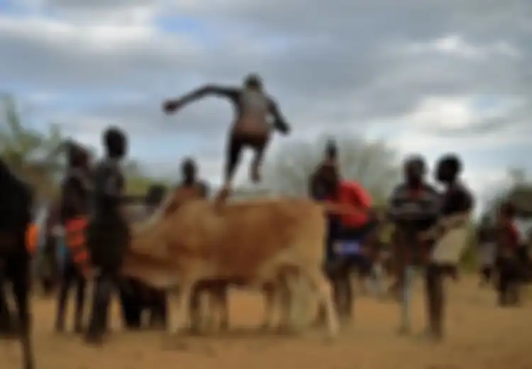 Ritual Lompat Banteng di Ethiopia Ini Dilakukan Sebagai Tanda Kesiapan Seorang Pria Suku Hamer untuk Bangun Keluarga Sendiri, Lompat Empat Kali Tanpa Pakaian Pertanda Dia Boleh Menikah Empat Kali