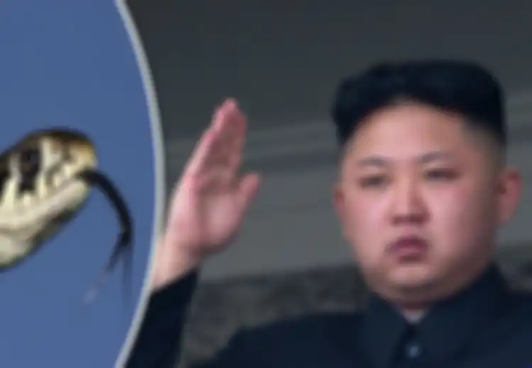 Kim Jong Un Nyatakan 'Perang' Melawan Populasi Ular yang Membludak, Korea Selatan Dituduh Biang Keroknya pada 2017