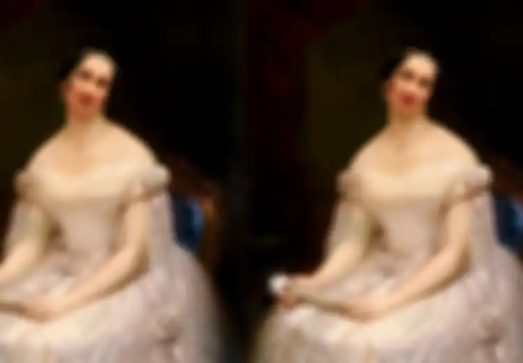 Sampai Dijuluki Ibu Negara Paling Banyak Skandal dalam Sejarah Amerika, Inilah Julia Tyler, Lahir di Keluarga Kaya Raya, Jadi Model Pakaian Dalam, Hingga Punya Reputasi Penggoda