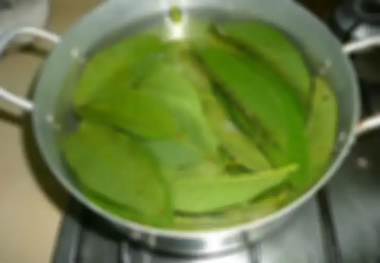 Lima Khasiat Daun Jambu Biji, Bisa Bantu Turunkan Kadar Gula Darah