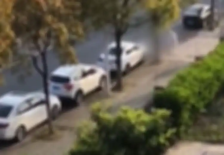 Pantas 'Raungannya' Sampai Penuhi Penjuru Kota, Inilah Hal-hal Mengerikan yang Terjadi saat Lockdown Shanghai, Termasuk Hewan Peliharaan yang Dipukuli Hingga Mati
