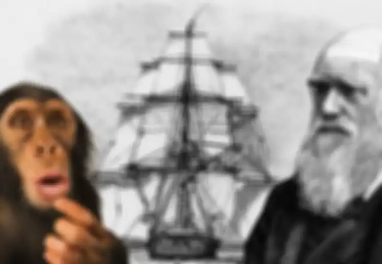 Ternyata Ini yang Dipelajari Bangsa Yahudi yang Terkenal Cerdas, Banyak Sekolah di Israel Tak Ajarkan Teori Evolusi Darwin, Apa Gantinya?