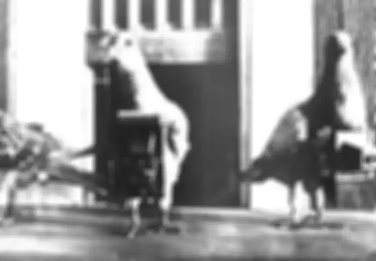 'Liciknya' Amerika saat Gelontorkan Uang Demi Meneliti Hal 'Rahasia' Ini dan Kerahkan 'Merpati Pos' untuk Awasi Perkembangan Kapal Selam Rahasia Soviet