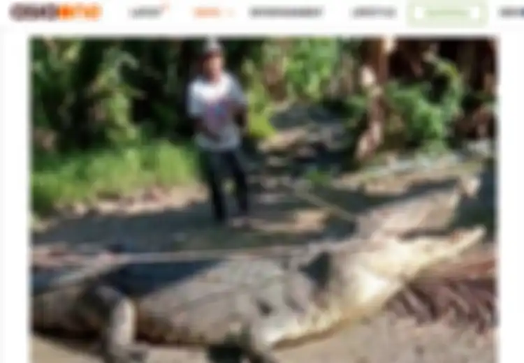 Gempar Sampai Media Asing, Siapa Sangka Warga Sulawesi Ini Berhasil Taklukkan Buaya Sepanjang 4 Meter Hanya Bermodalkan Tali, Aksi Nekatnya Bermula dari Hal Ini