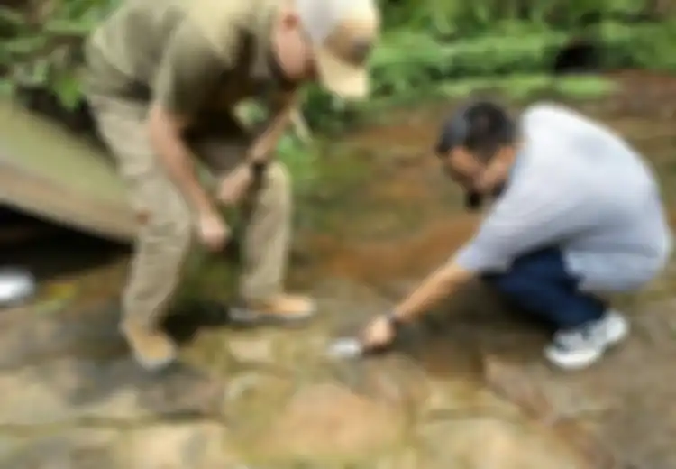 Panjang Tubuhnya Berukuran 8 Meter, Jejak Kaki Dinosaurus Berusia 100 Juta Tahun Ditemukan di Restoran China