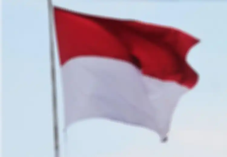 Hal-hal Apa Saja yang Cocok Untuk Mewujudkan Indonesia Emas Tahun 2045 Menurut Muhammad Ali Pasya dan Rifa’ah Baidawi Rafi’at al-Tahtawi?