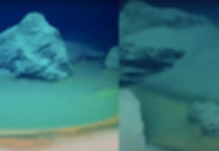 Semua Makhluk yang Masuk ke Dalamnya Pasti Mati, Inilah Kolam Maut yang Ditemukan di Dasar Laut Merah, Bikin Peneliti Terkejut