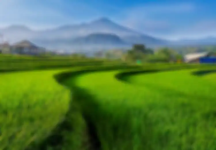 Dongkrak Pariwisata dan Ekonomi Warga, 3 Kota/Kabupaten Ini Luncurkan Inovasi Berbasis Gerakan Menuju Smart City