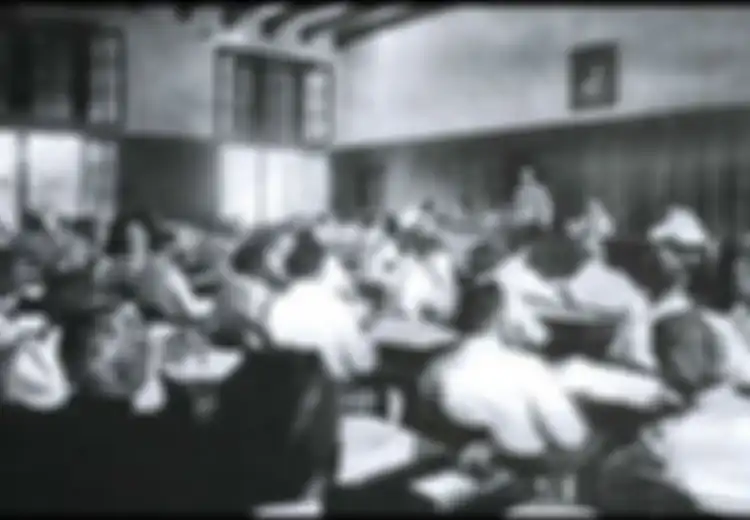 Sejarah Kelas XI: Mengapa Sutardjo Menyampaikan Petisi? Apa Makna Petisi Tersebut?