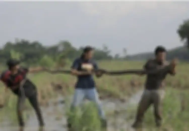 Alprih Priyono Meninggal Dipatok Anak Ular King Cobra, Ternyata Begini Reaksi Racun Ular Bercampur Darah Manusia