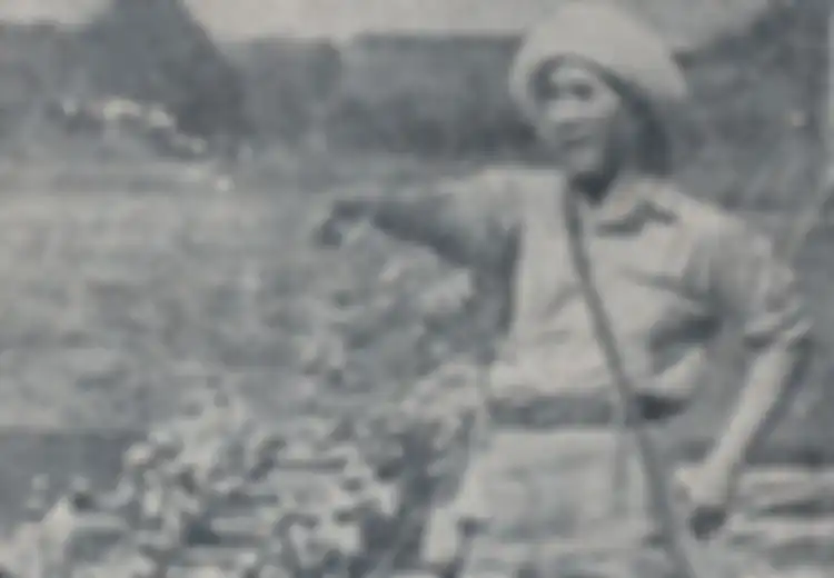Dampak Pendudukan Jepang di Indonesia, Benarkah Memprihatinkan?