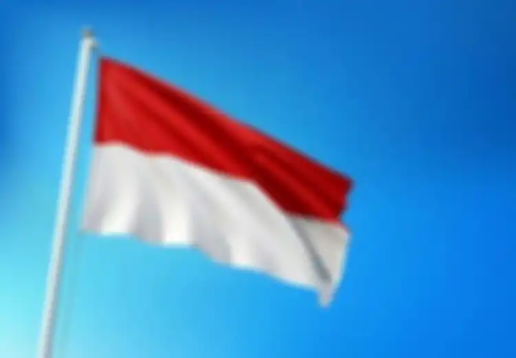 Bagaimana Bentuk Pemerintahan di Indonesia? Apa Landasannya?