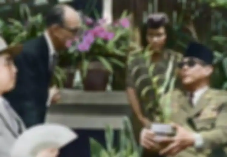 Sejarah Anggrek Kimilsungia, Bunga yang Diberikan Bung Karno kepada Pemimpin Tertinggi Korea Utara Kim Il-sung