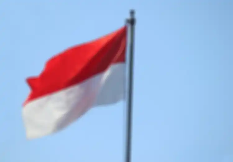Apa yang Akan Terjadi Pada Indonesia Bila Tahun 1945 Para Pemimpin Memilih Bentuk Negara Serikat/Federal Bukan Kesatuan?