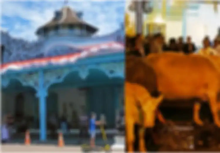 Menguak sosok Asli Kebo Bule, Hewan Sakti yang Konon Menemukan Wilayah Mataram Islam di Surakarta