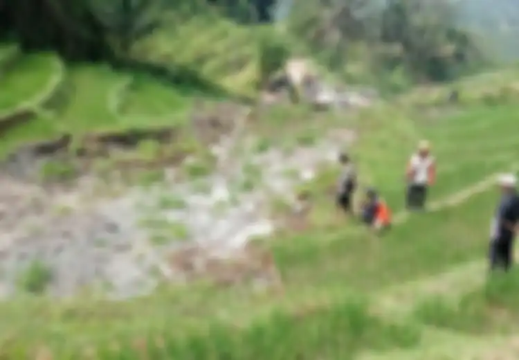 Peristiwa Sawah Longsor Di Ponorogo, Ini Yang Perlu Kita Ketahui Tentang Likuefaksi Tanah