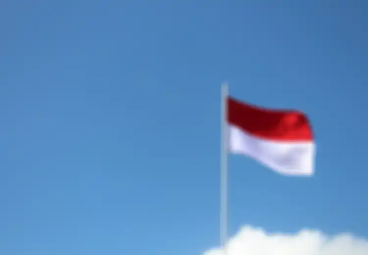 Apa Saja Bentuk Pengakuan PBB terhadap Kedaulatan Indonesia