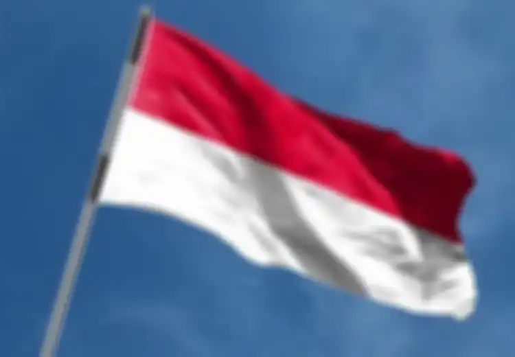 Mengapa Bahasa Indonesia yang Dipilih Menjadi Bahasa Nasional, Bukan Bahasa dari Penjajah Belanda?