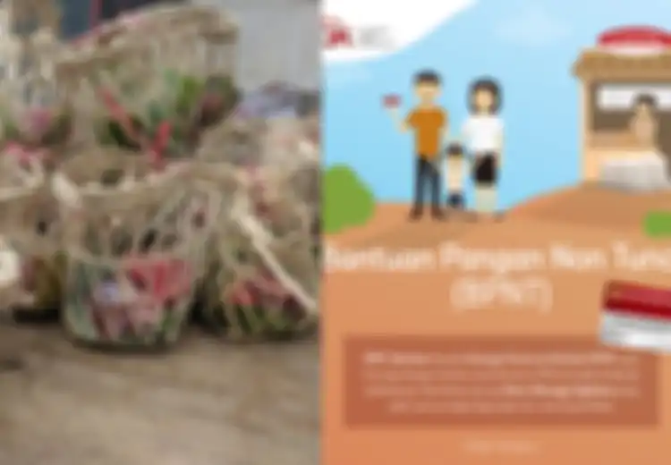 Alhamdulillah, Idul Adha Besok Enggak Cuma dapat Daging Kurban, Ada BLT BPNT Siap Cair untuk Beli Beras dan Telur
