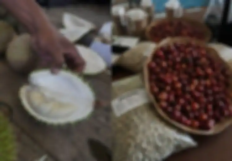 Durian dan Kopi Sigi: Kekayaan Alam yang Lestari dan Lezat