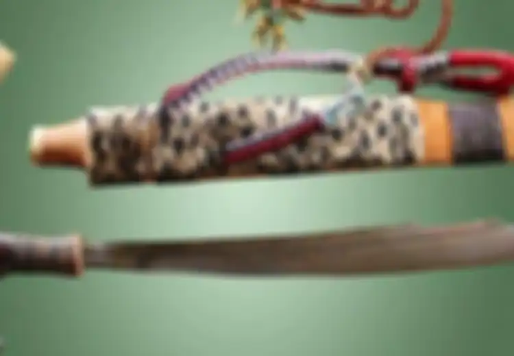 Ngayau, Tradisi Berburu Kepala Suku Dayak di Kalimantan