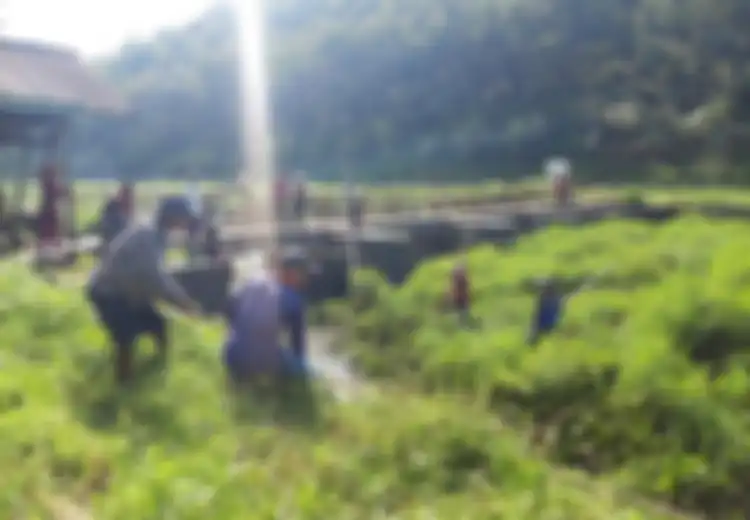 Contoh-contoh Praktik Gotong Royong yang Ada di Lingkungan Sekitar