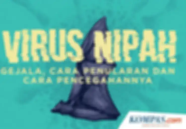Virus Nipah Telah Serang India, Bisakah Sampai Indonesia? Ini Gejala, Penularan, Dan Pencegahannya