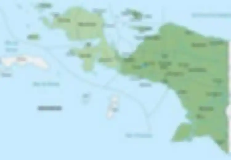 Dari Sorong ke Seluruh Papua, Ini Sejarah Partai Sama-Sama Manusia (SSM) yang Membela Hak-Hak Orang Papua