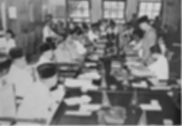 Gegara Jepang, Bagaimana Sejarah Terbentuknya Konstitusi Indonesia?