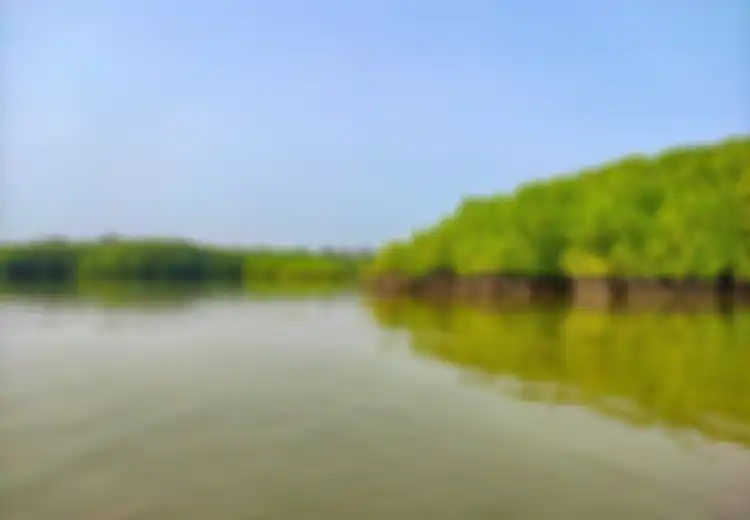 Berikut Ini Grafik Penurunan Luas Hutan Mangrove dari Tahun 2010 Hingga Tahun 2014