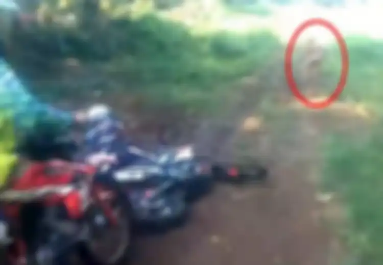 Menelusuri Misteri Suku Mante yang Misterius Dari Pedalaman Aceh