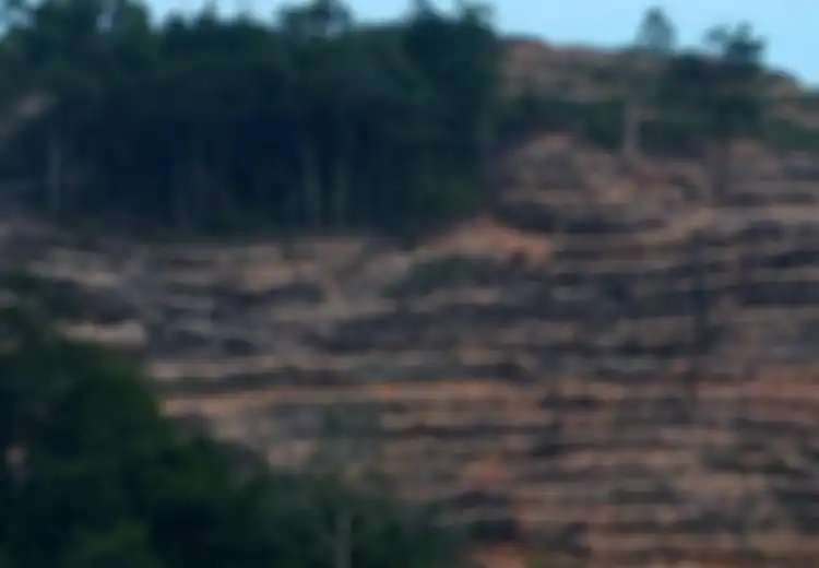 Masalah Sosial Budaya yang Dapat Timbul Akibat Alih Fungsi Hutan