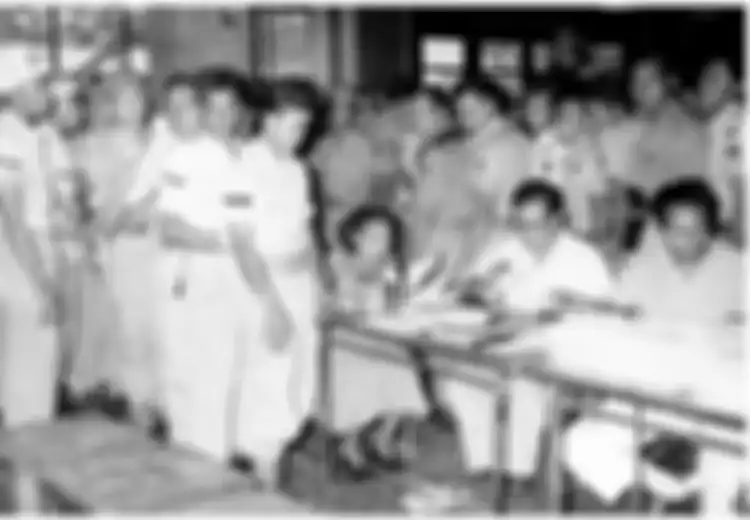 Gagal Dilaksanakan Pada 1946 Sesuai Amanat Maklumat X, Begini Sejarah Pemilu Di Indonesia