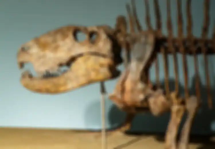 Sering Jadi Pertanyaan, Dinosaurus Muncul Pertama Kali Pada Zaman Apa?