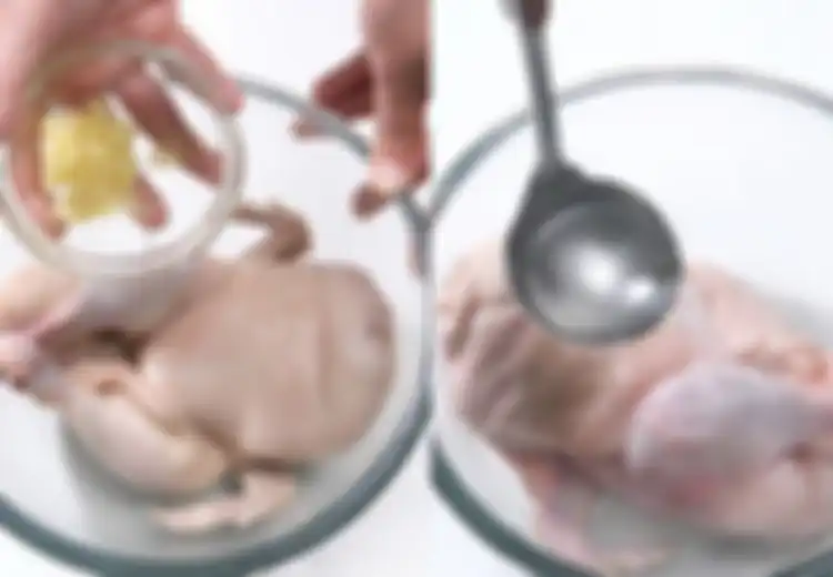 Cara Memasak Opor Bebek Agar Tidak Amis, Benarkah Pakai Air Jeruk?